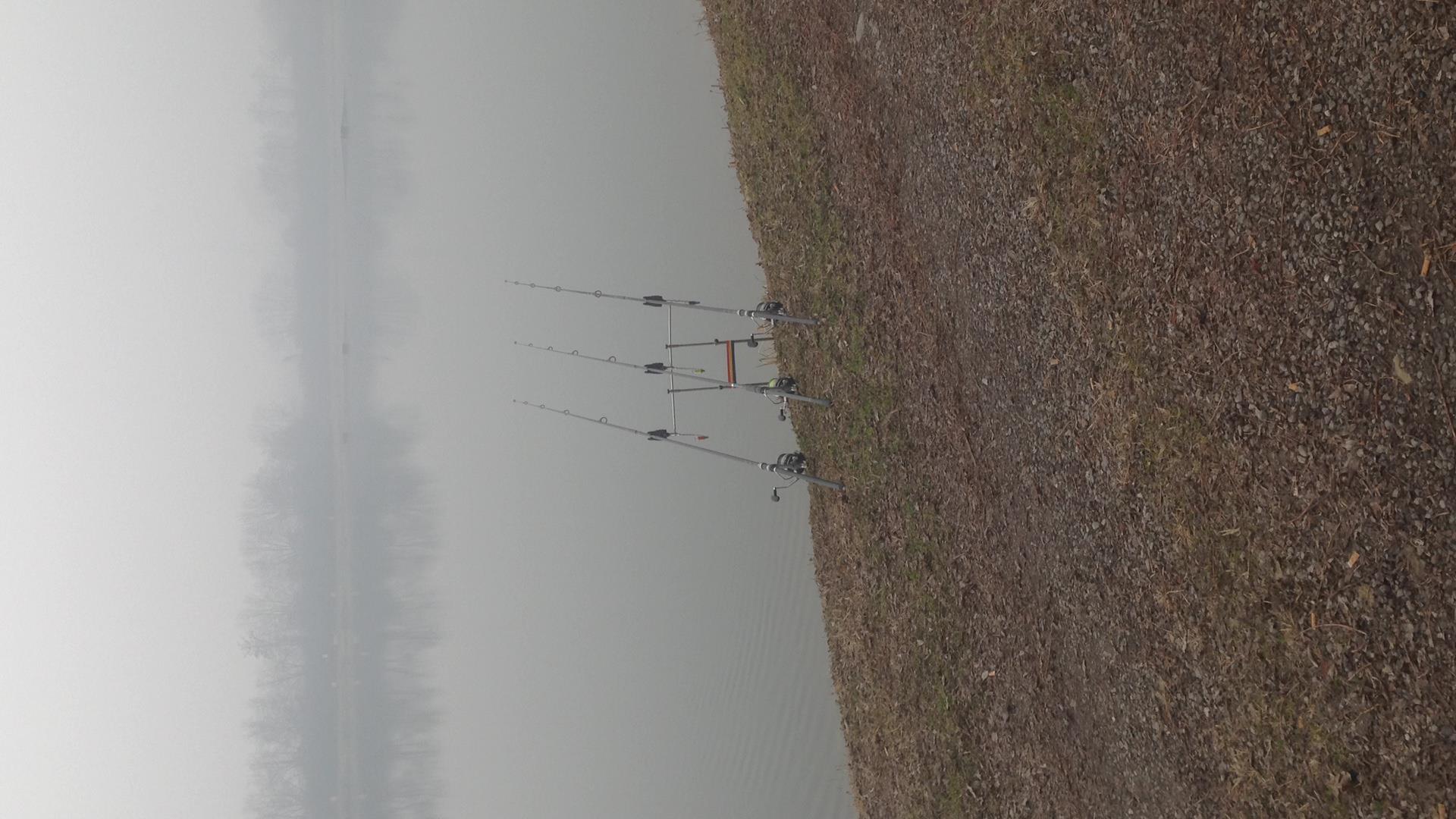 ISOLA DEL PESCATORE 1 - 2 februarie 2017 - img5069.JPG